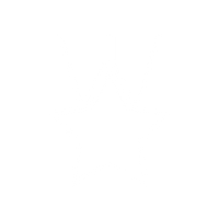 Expertly Curated Ingredients